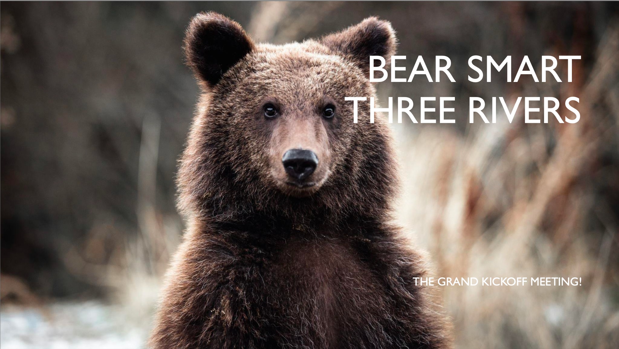 Bear Smart Three Rivers Kickoff Meeting