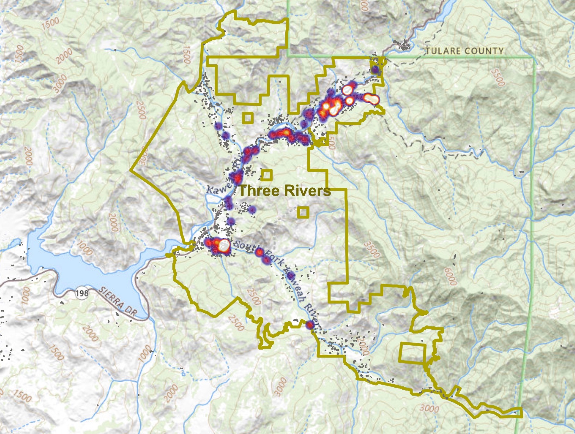 Reporting Bear-Distributed Trash Helps!