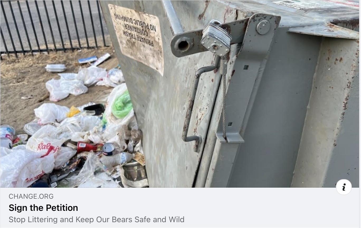 Bear Smart Three Rivers Needs Your Help
