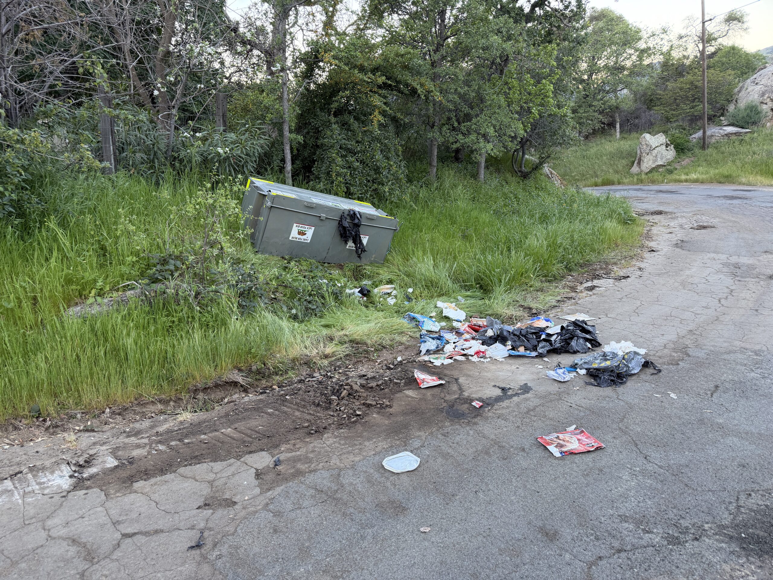 URGENT – Bear and Garbage Info